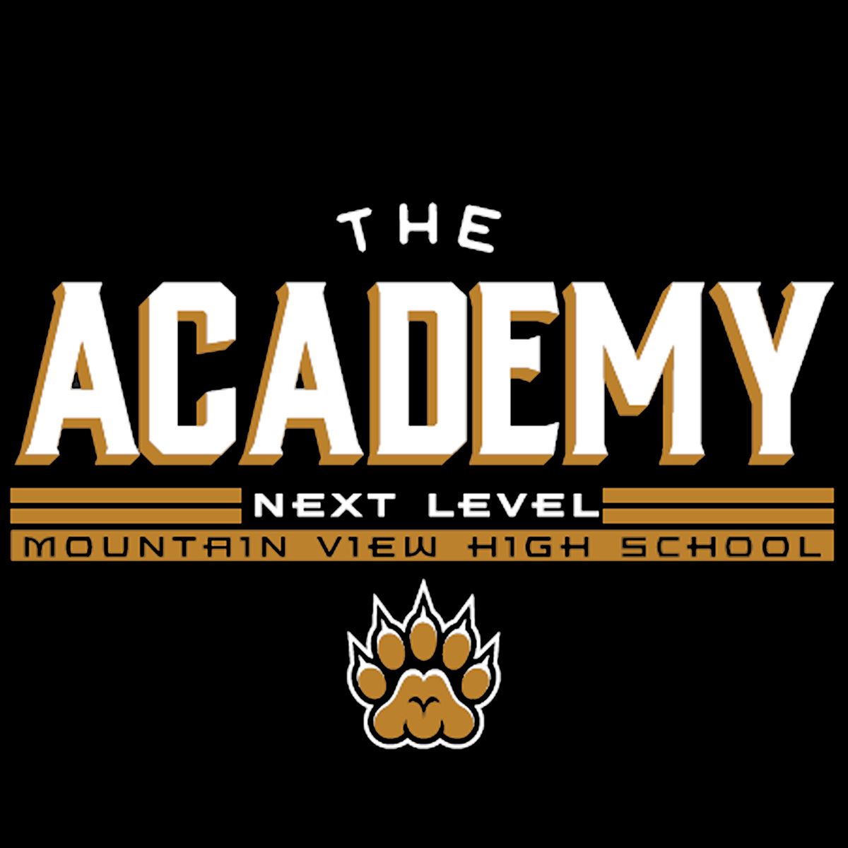 9th Grade Academy Logo
